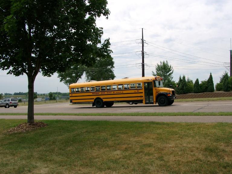 Die Schulbusse sehen wirklich alle so aus.